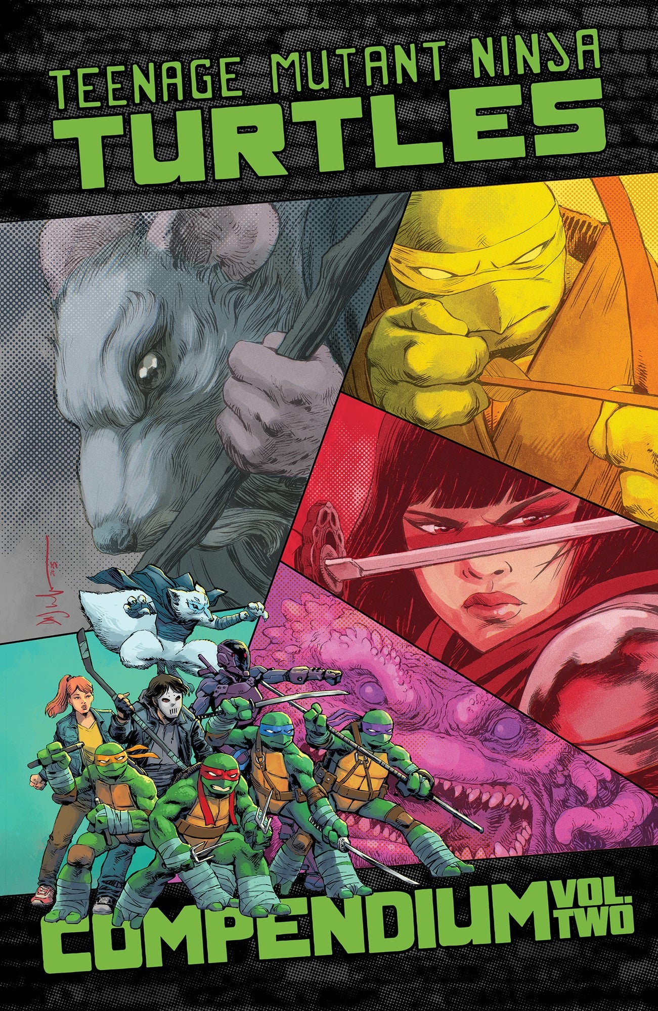 Teenage Mutant Ninja Turtles: Ongoing Compendium, Vol. 2 TPB | IDW