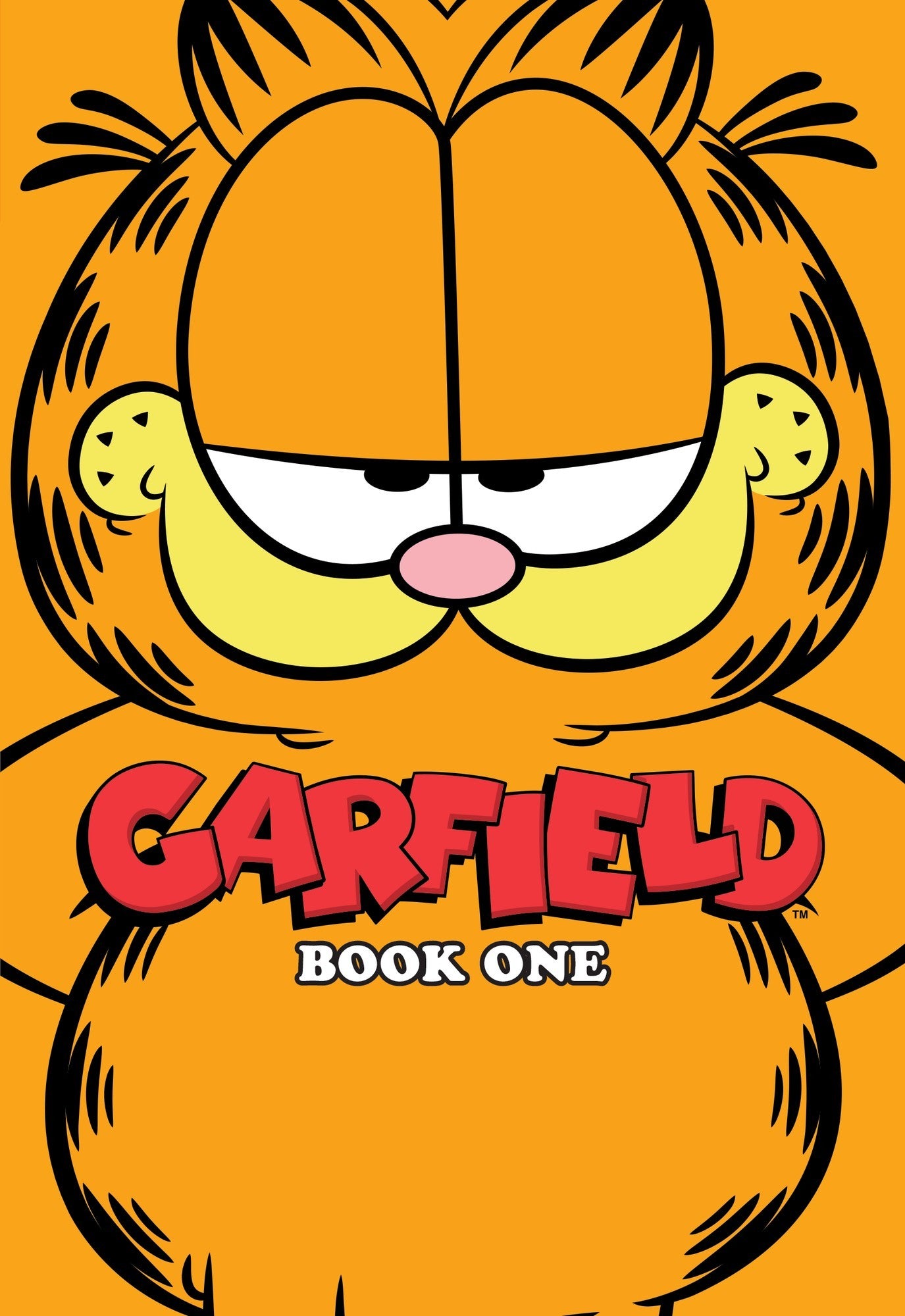 Garfield Book One TPB | BOOM
