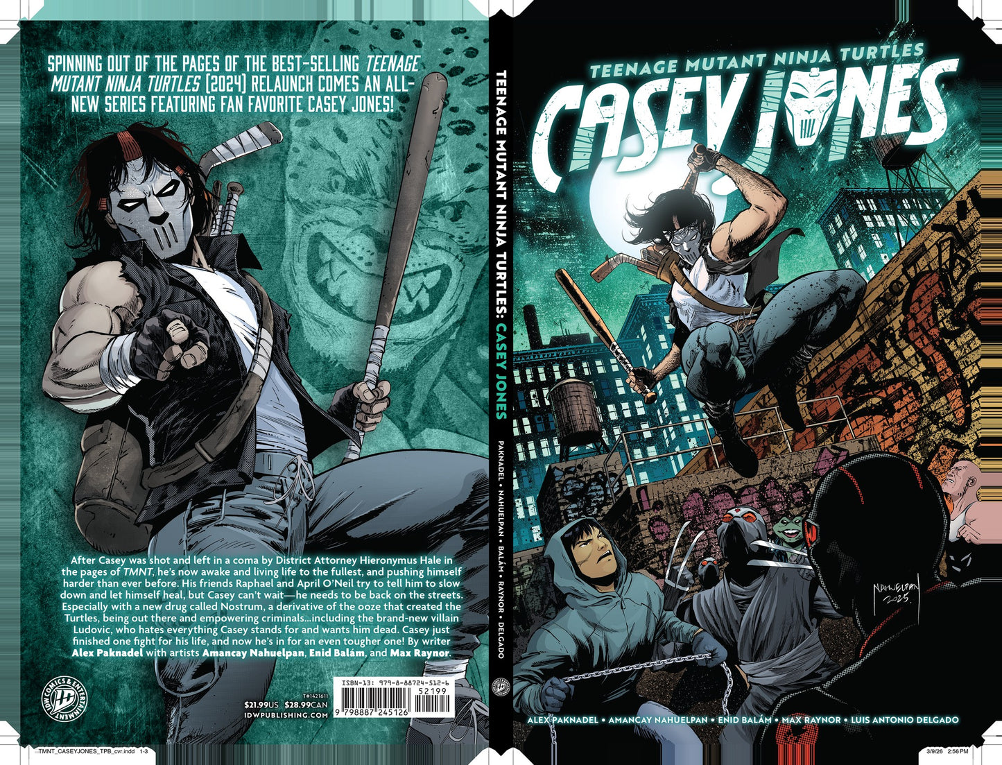 Teenage Mutant Ninja Turtles: Casey Jones